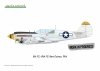 Eduard R0025 P-40N WARHAWK ROYAL CLASS DUAL COMBO 1/48